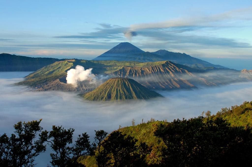 Hotel Lereng Bromo Pasuruan Eksteriør billede